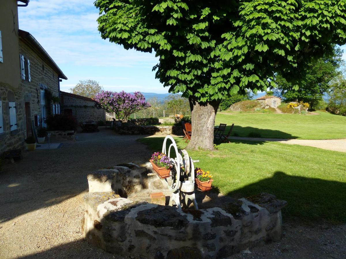 Bed and Breakfast Chez Tiane Puy de Dôme Saint-Flour  Exterior foto