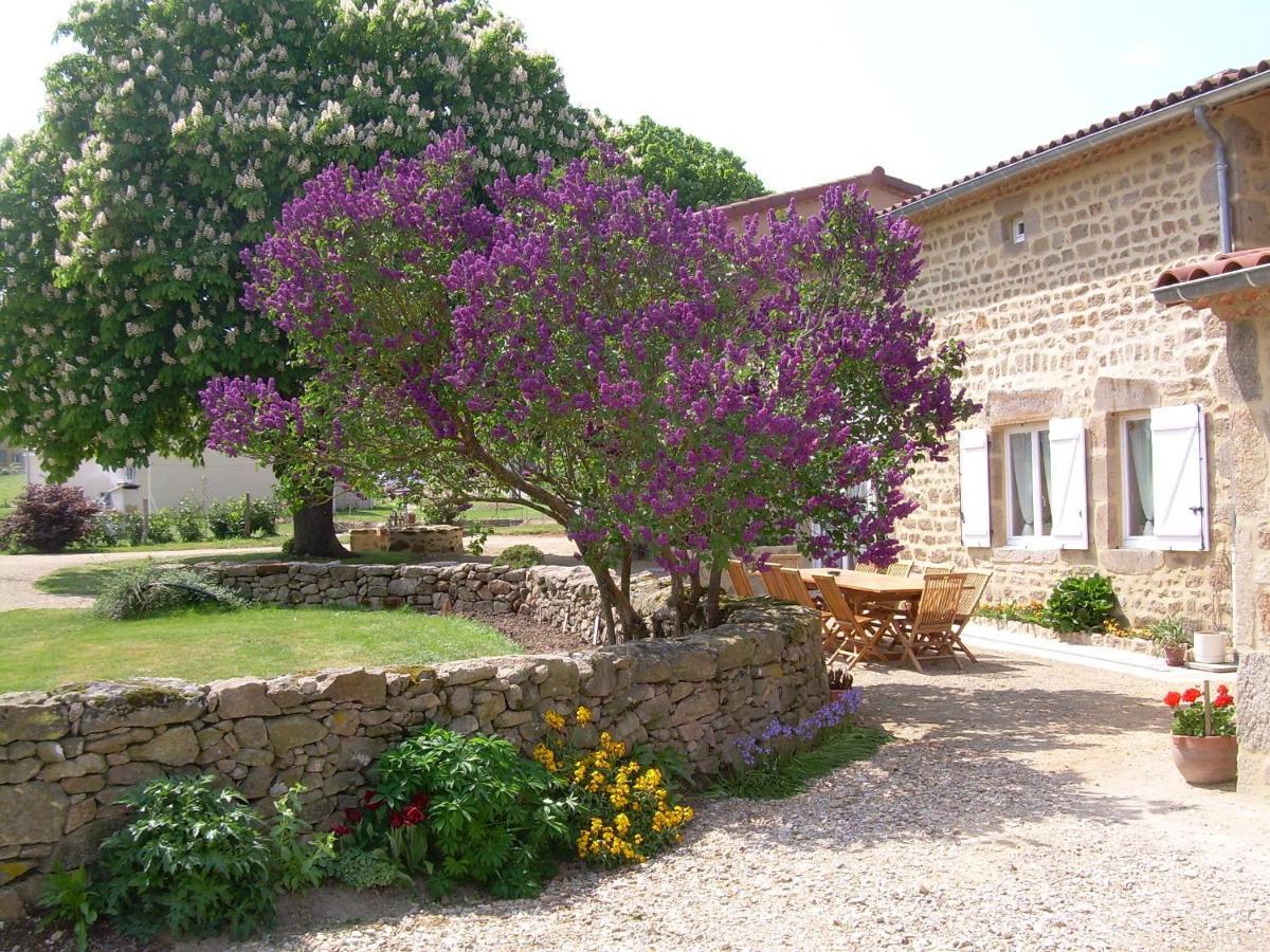 Bed and Breakfast Chez Tiane Puy de Dôme Saint-Flour  Exterior foto